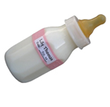 International Daycare Login